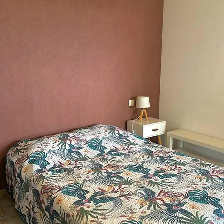 150m De La Avec Climatisation Et Parking Prive - Fr-1-529-37 Apartament Le Barcarès