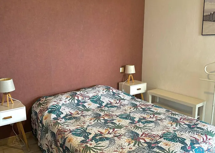 150m De La Avec Climatisation Et Parking Prive - Fr-1-529-37 Apartamento Le Barcarès